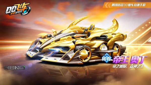 的新面孔 的新面孔